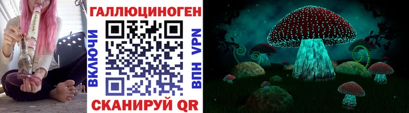 Псилоцибиновые грибы Psilocybine cubensis  Тюмень 